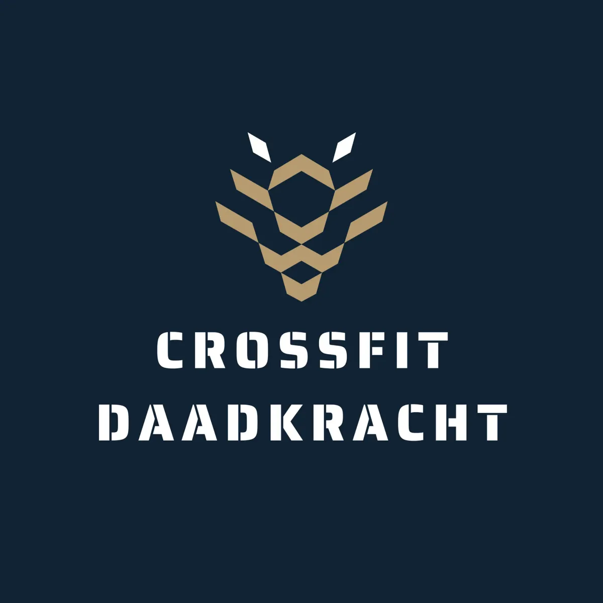 CrossFit Daadkracht photo 4