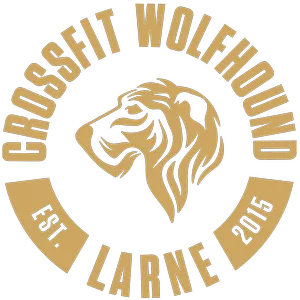 CrossFit Wolfhound Larne photo 4