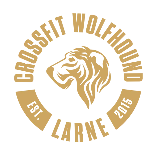 CrossFit Wolfhound Larne photo 10