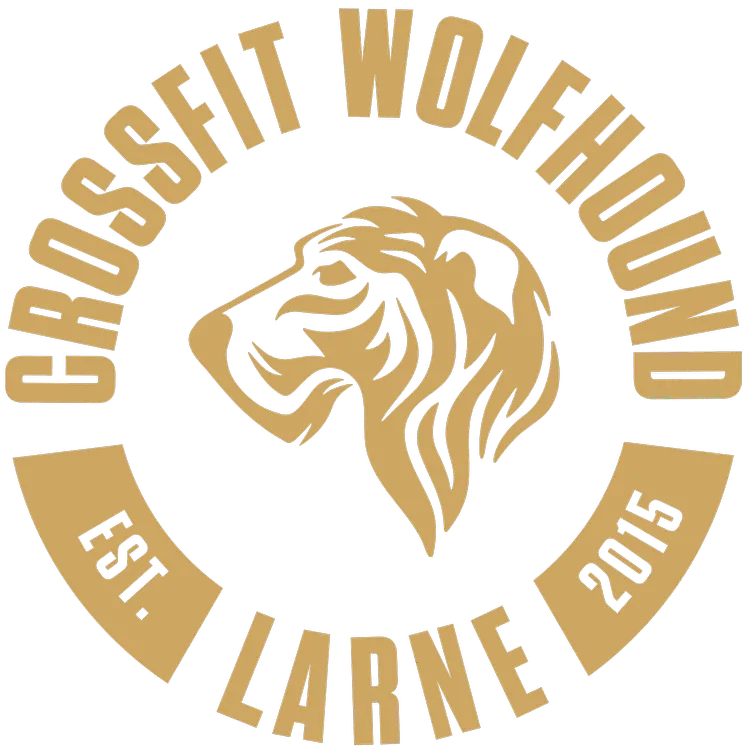 CrossFit Wolfhound Larne photo 6