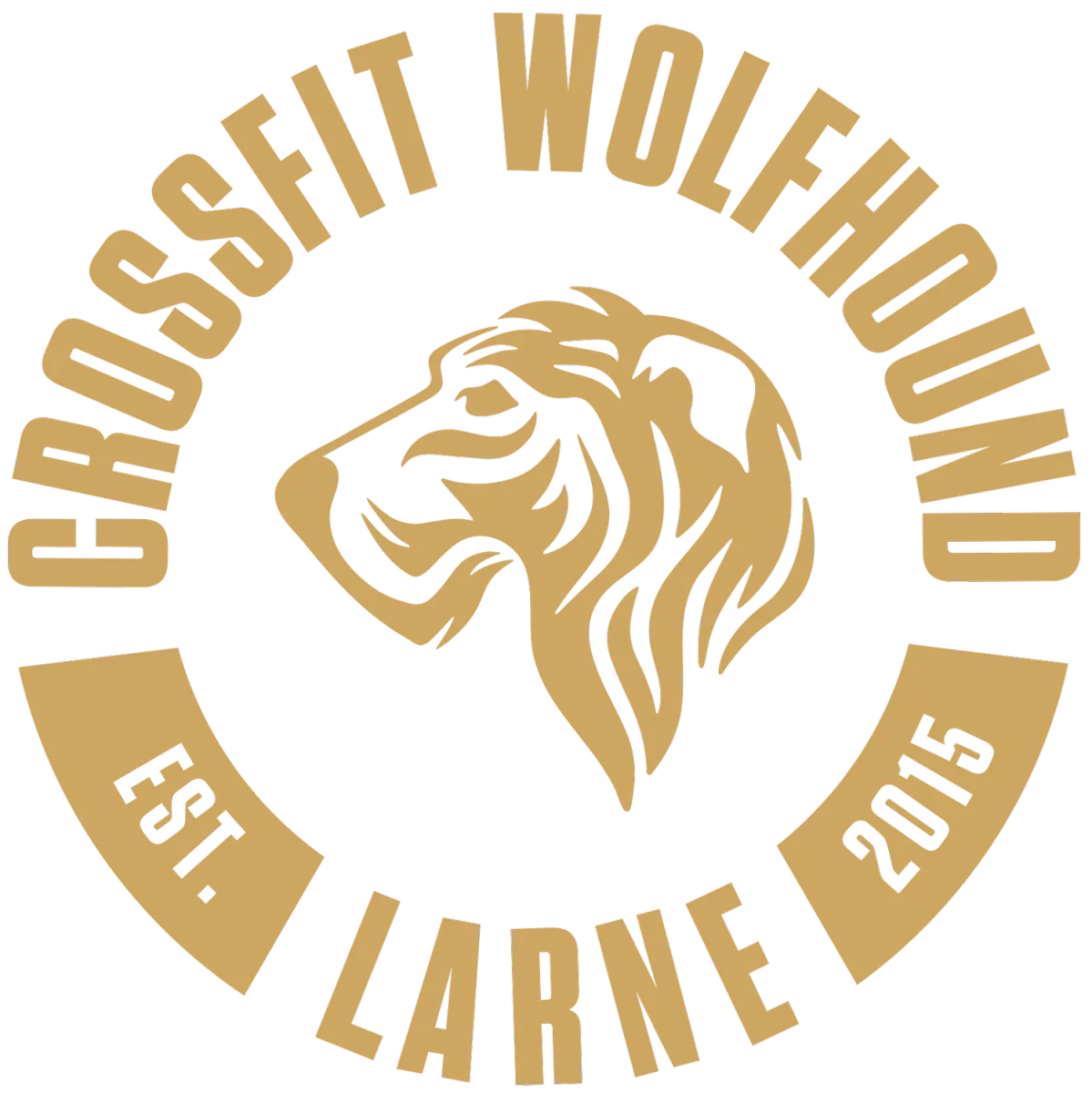 CrossFit Wolfhound Larne photo 8