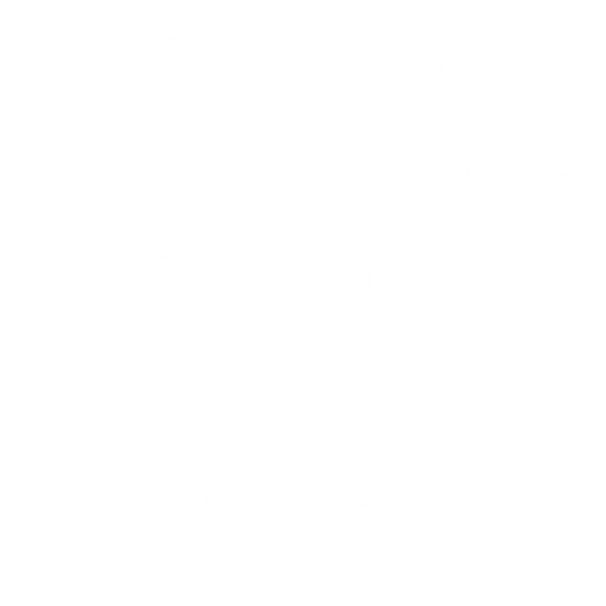 CrossFit Wolfhound Larne