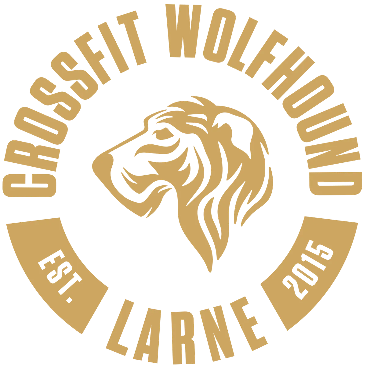 CrossFit Wolfhound Larne photo 3
