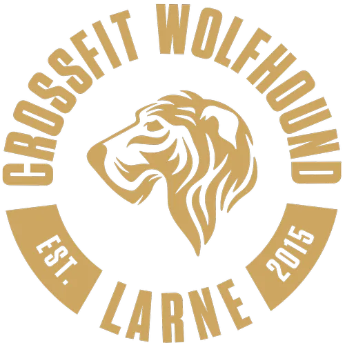 CrossFit Wolfhound Larne photo 5