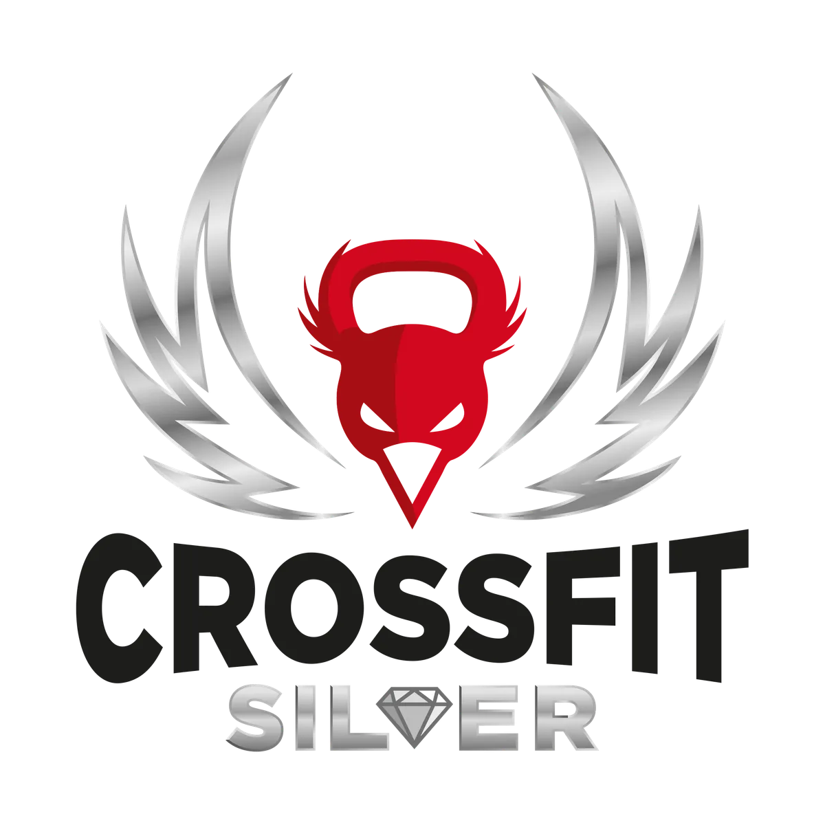 CrossFit Silver
