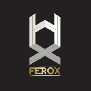 CrossFit Ferox photo 10