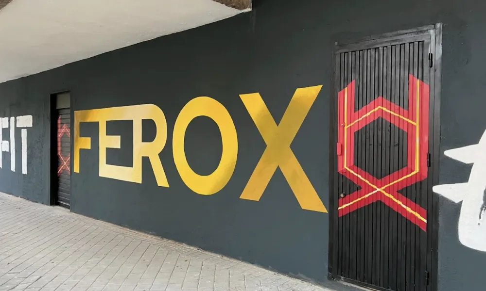 CrossFit Ferox photo 2